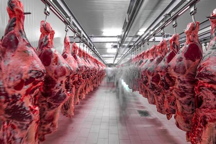 Las exportaciones de carne a China cayeron un 32,8%