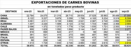 Las exportaciones de carne vacuna de la Argentina