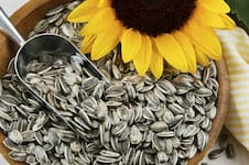 Volaron un 875,4% las exportaciones de semillas de girasol y apoyaron un espectacular boom de divisas
