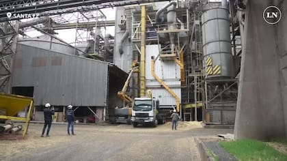 Las exportaciones del complejo oleaginoso alcanzaron los US$13.451,55 millones
