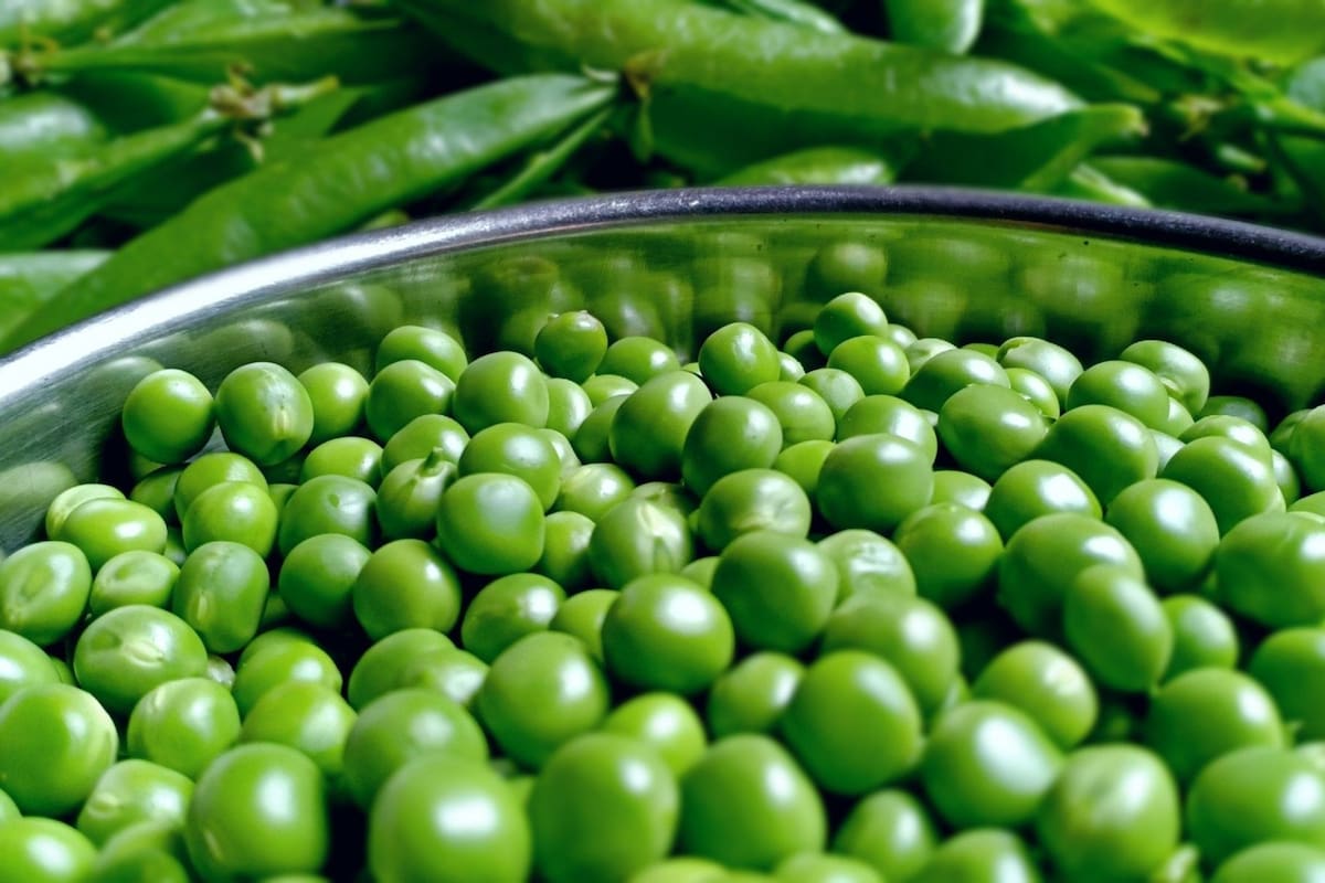 Las exportaciones tuvieron un fuerte salto, pero los problemas climáticos abrieron interrogantes para las ventas en 2023