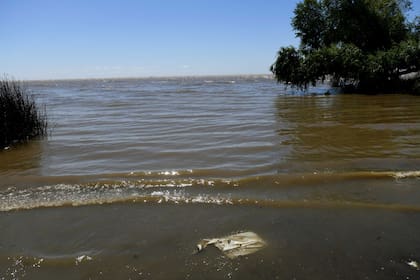 Las extracciones masivas de agua para la IA pueden afectar acuíferos y ríos