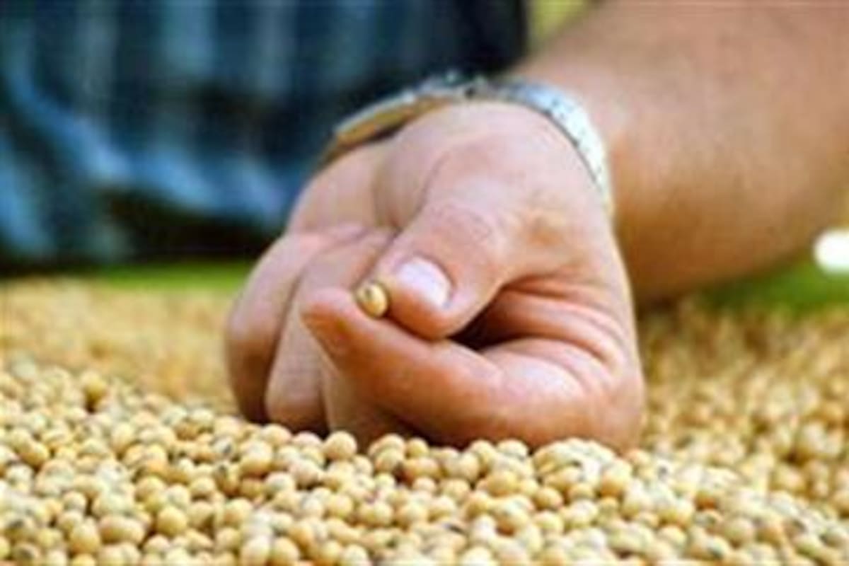 Las fábricas pagaron 7200 pesos por tonelada, $100 menos que ayer; tercera rueda alcista consecutiva en la Bolsa de Chicago