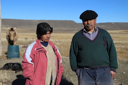 Las familias que viven en el campo todavía no lograron recuperarse de la pérdida del 70% del stock ganadero de la zona.