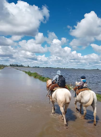 Las familias y chicos están movilizándose a caballo