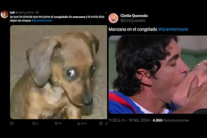Las ficciones no faltaron para los memes (Captura X)