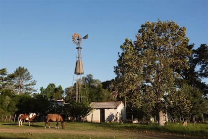 Las firmas agropecuarias tienen características propias para contemplar