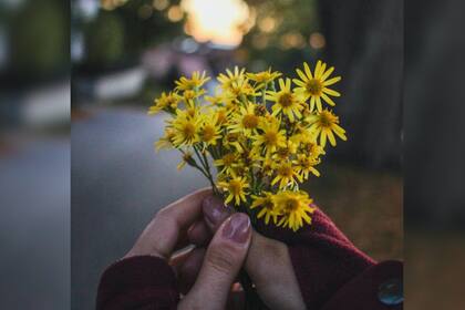 Las flores amarillas se regalarán el 29 de febrero (Foto Pexels)