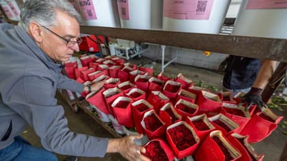 la Oficina de Aduanas y Protección Fronteriza ha intensificado la inspección de cargamentos florales en la frontera con México