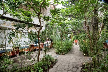 Las Flores tiene un jardín, en un rincón, rodeada de plantas y arbustos altos y tupidos, de especies nativas