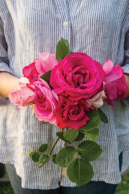 Las flores tienen propiedades antioxidantes, antiinflamatorias y cicatrizantes que limpian, hidratan y retrasan el envejecimiento de la piel