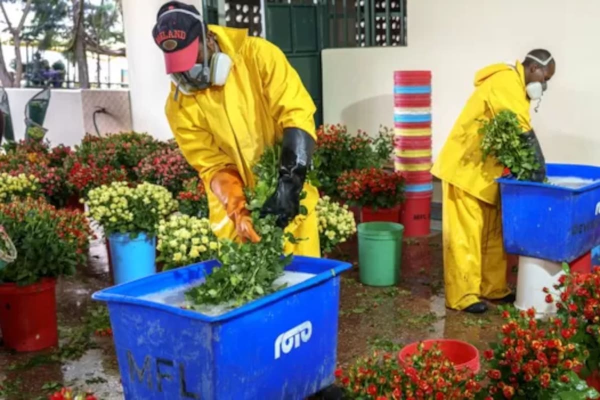 Las flores tienen que hacer cola con todos los demás contenedores