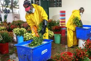 Las flores tienen que hacer cola con todos los demás contenedores