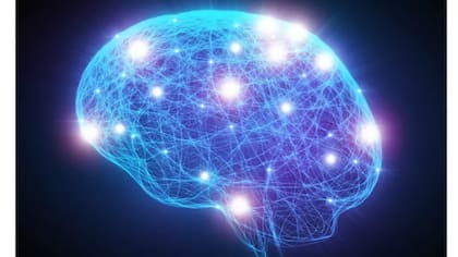 Las fluctuaciones en los niveles de estrógeno tienen un impacto en el cerebro
