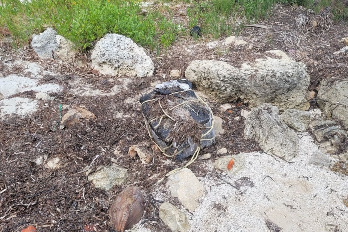 Las fotos de la Patrulla Fronteriza muestran el cargamento que arribó desde el mar