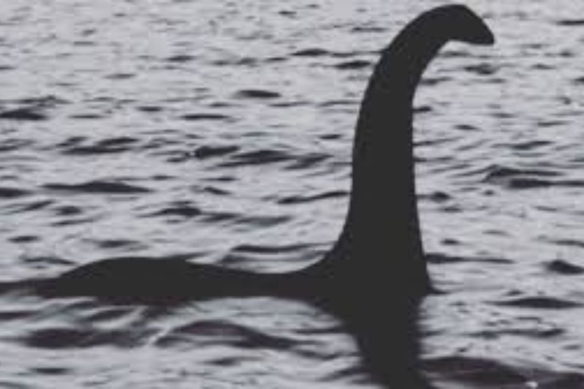 Las fotos encontradas en una cámara escondida en las profundidades del Lago Ness dieron por terminado el misterio del monstruo acuático