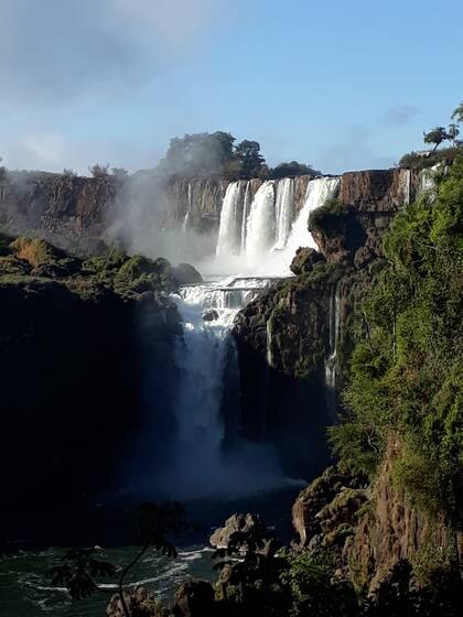 Las fotos fueron tomadas esta semana. Desde Iguazú advirtieron que circulan varias imágenes de hace 40 días.