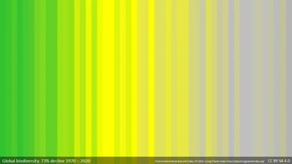 Las franjas de colores representan la pérdida de biodiversidad a nivel global, de 1970 a 2020