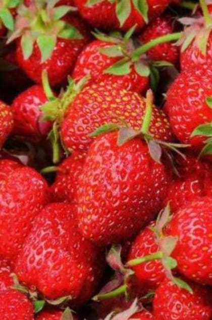 Las fresas ayudan a prevenir enfermedades.
Foto: iStock