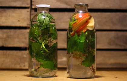 Las frutas se vuelven ideales como aromatizadores de la casa