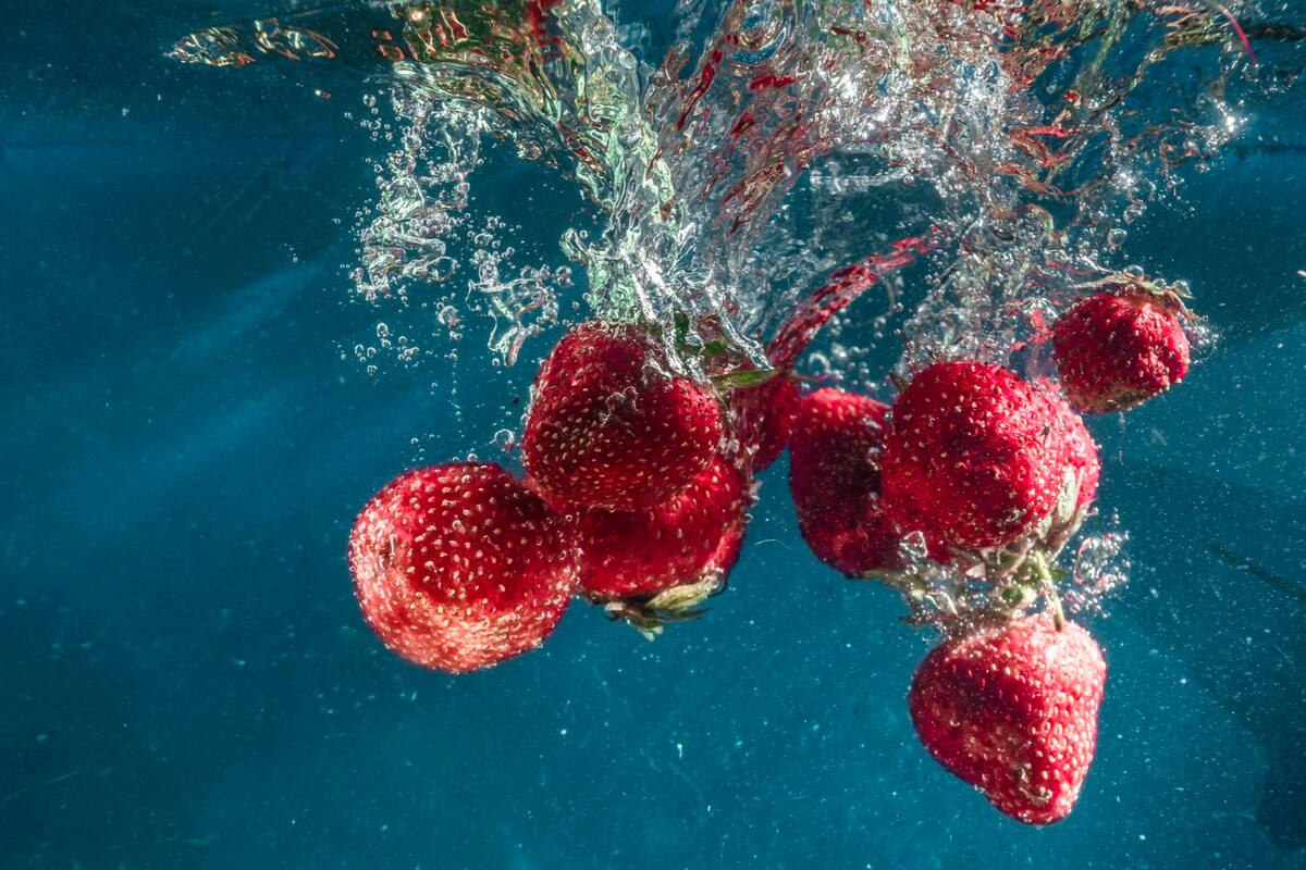 Las frutillas deben lavarse muy bien para desinfectarlas antes de consumir.