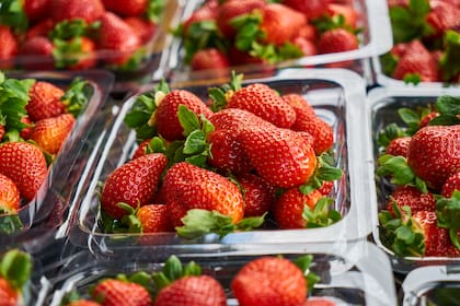 Las frutillas presentan altos niveles de residuos de pesticidas