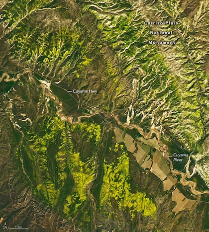 Las fuertes precipitaciones registradas en California provocaron este fenómeno, el cual no se presentaba desde 2019