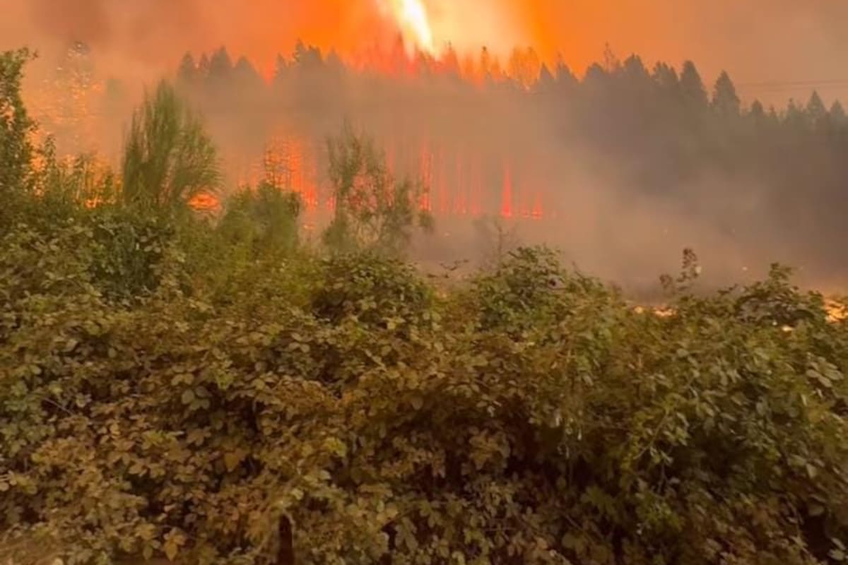 Las fuertes ráfagas de fuego reactivaron esta tarde el incendio forestal en El Bolsón