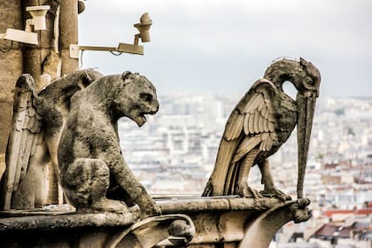 Las gárgolas de Notre Dame no solo escupen agua, sino también siglos de historias