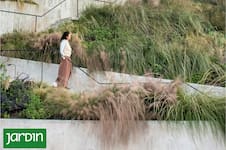 Por qué las gramíneas son las grandes protagonistas del paisajismo