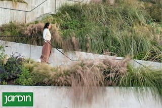 Por qué las gramíneas son las grandes protagonistas del paisajismo
