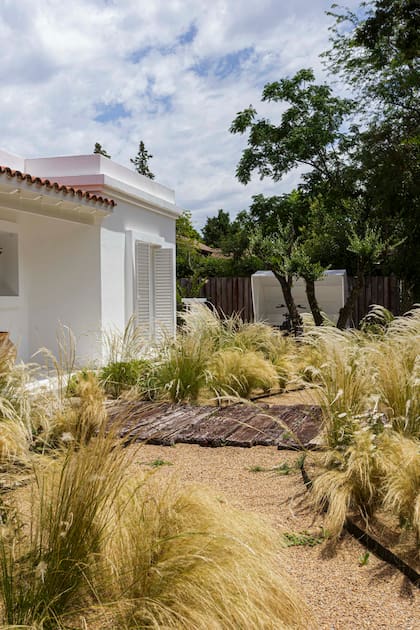 Las gramíneas son protagonistas tanto en la fachada como en el jardín trasero de la casa.