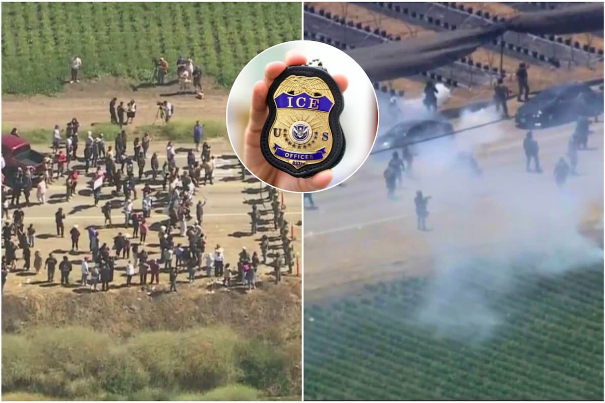 Las granjas, asociadas a la producción de cannabis, fueron intervenidas por el ICE por presuntas violaciones laborales y migratorias