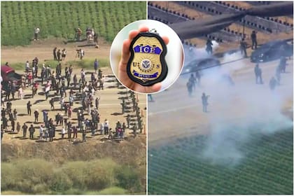Las granjas, asociadas a la producción de cannabis, fueron intervenidas por el ICE por presuntas violaciones laborales y migratorias