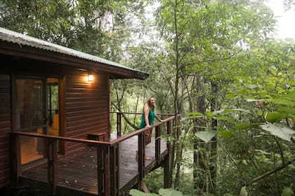 Las habitaciones tienen balcones que dan a la selva.