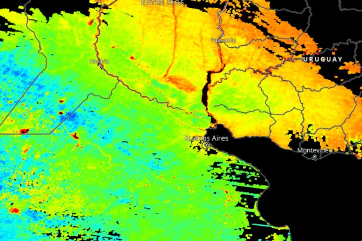 Las heladas afectaron a la soja de segunda siembra, pero los buenos rindes en los cultivos de siembra temprana compensan las pérdidas