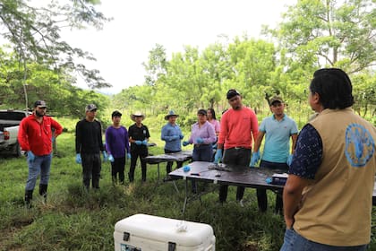 Las hermanas Rodríguez incorporaron árboles frutales y maderables al rancho para generar sombra, conservar el agua y favorecer el crecimiento del pasto