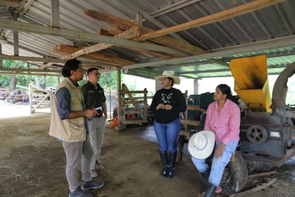 Las hermanas Rodríguez incorporaron árboles frutales y maderables al rancho para generar sombra, conservar el agua y favorecer el crecimiento del pasto