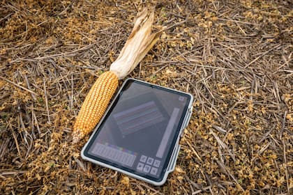 Las herramientas digitales permiten analizar ambientes, ajustar densidades de siembra y generar recomendaciones específicas para cada lote, transformando datos en decisiones agronómicas.
