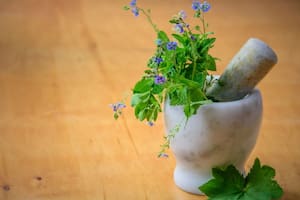 Las hierbas medicinales son utilizadas para tratar diversas afecciones, pero hay que tener cuidado con su administración (Foto Pexels)