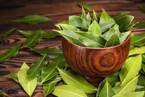 Las hojas de laurel se pueden quemar para hacer una limpieza energética
