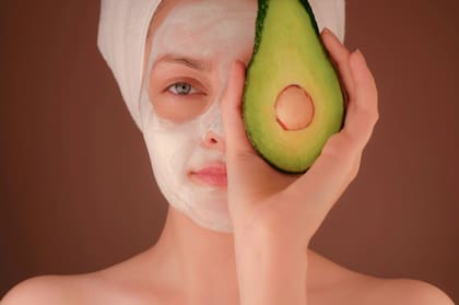 Las hojas de palta serán el ingrediente principal