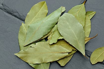 Las hojas del laurel se usan en el Feng Shui para atraer la abundancia (Archivo)