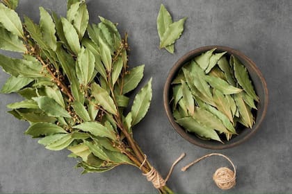 Las hojas del laurel tienen muchos beneficios para la salud