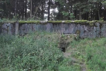 Las hormigas habían quedado atrapadas en un antiguo refugio de municiones donde alguna vez se guardaron armas de la extinta Unión de Repúblicas Socialistas Soviéticas (URSS)