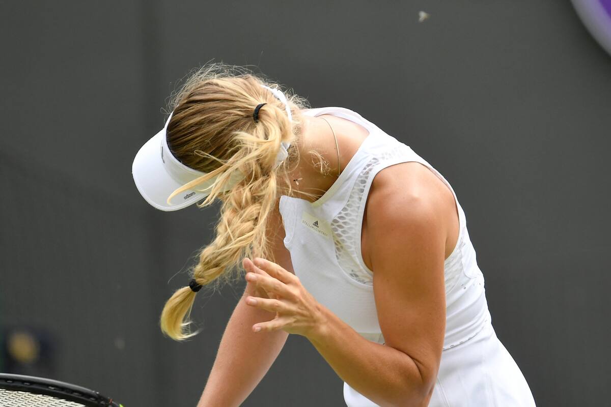 Las hormigas voladoras volvieron al ataque