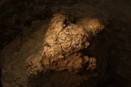 Las huellas atribuidas al Tyrannosaurus rex tienen unos 66,5 millones de años y fueron encontradas en Dakota del Norte.