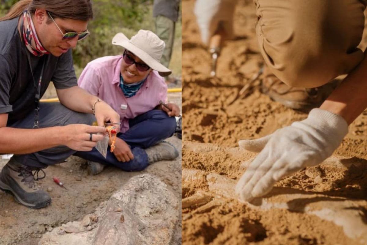 Las huellas de dinosaurio están preservadas en una superficie vertical sobre un charco de roca del Río Batá (Foto: Felipe Villegas (Instituto Humboldt) / iStock)
