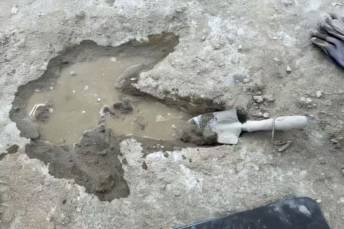 Las huellas de dinosaurios encontradas bajo las autopistas de Oxfordshire