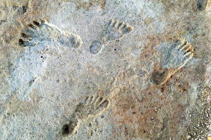 Las huellas de fosilizadas en perfecto estado datan de hace 23.000 años